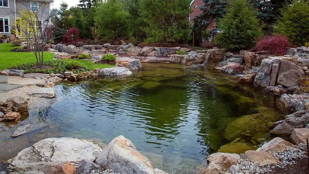 Swim Pond Medford Oregon